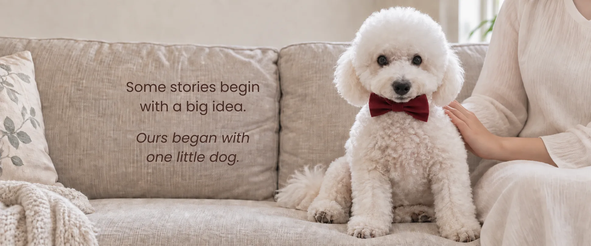Our Story
